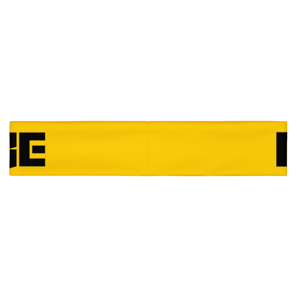 Bumblebee Headband